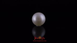 Pearl - 10.8 Carat