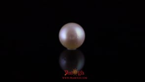 Pearl - 11.35 Carat