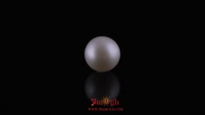 Pearl - 10 Carat