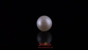 Pearl - 10.15 Carat