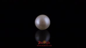 Pearl - 10.4 Carat