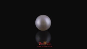 Pearl - 11.15 Carat