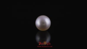 Pearl - 10.5 Carat