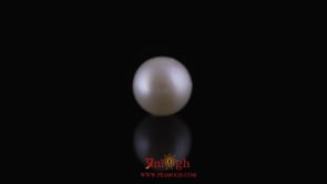 Pearl - 10.8 Carat