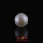 Pearl - 10.8 Carat