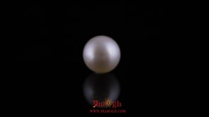 Pearl - 10.55 Carat