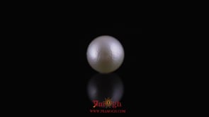 Pearl - 10.4 Carat