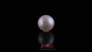 Pearl - 11 Carat