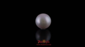 Pearl - 10.65 Carat