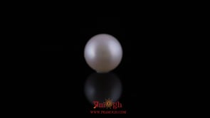 Pearl - 11.15 Carat