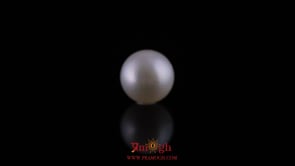 Pearl - 10.9 Carat