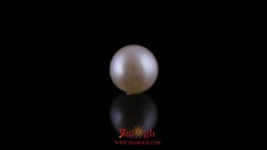 Pearl - 10.6 Carat