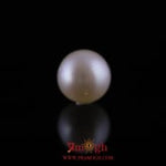 Pearl - 10.6 Carat