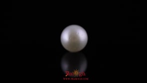 Pearl - 10.8 Carat