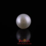 Pearl - 10.8 Carat