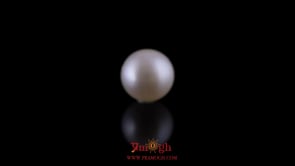 Pearl - 10.4 Carat