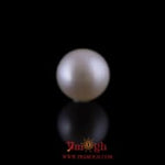 Pearl - 10.4 Carat
