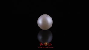 Pearl - 10.2 Carat