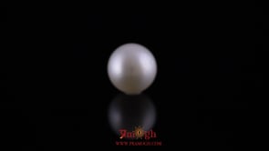 Pearl - 11.05 Carat