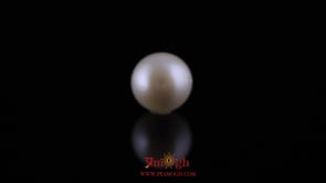 Pearl - 11.35 Carat