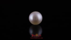 Pearl - 11.9 Carat