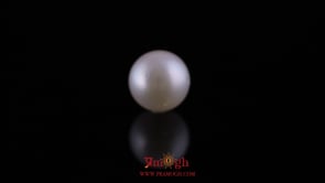 Pearl - 11.8 Carat