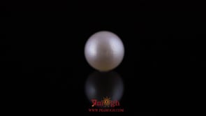 Pearl - 12.35 Carat