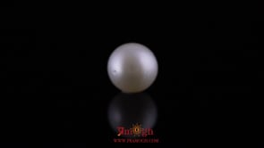 Pearl - 11.45 Carat