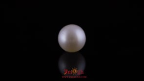 Pearl - 11.75 Carat
