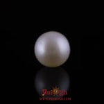 Pearl - 11.75 Carat
