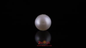 Pearl - 11.2 Carat