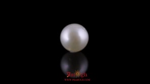 Pearl - 12.05 Carat