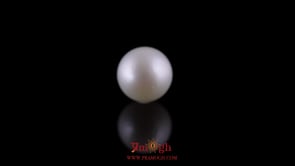 Pearl - 11.9 Carat