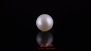 Pearl - 11.75 Carat
