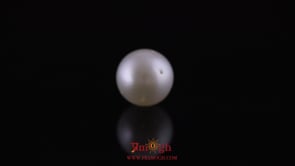 Pearl - 11.7 Carat