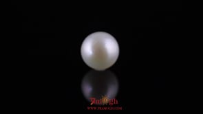 Pearl - 11.9 Carat
