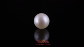 Pearl - 11.7 Carat
