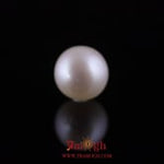 Pearl - 11.7 Carat