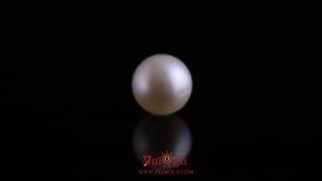 Pearl - 11.45 Carat
