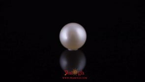 Pearl - 11.35 Carat