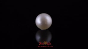 Pearl - 12.1 Carat