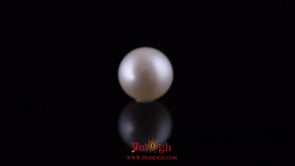 Pearl - 11.2 Carat