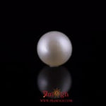 Pearl - 11.85 Carat