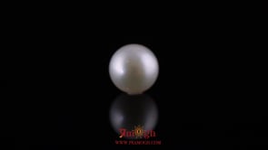 Pearl - 11.85 Carat