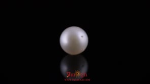 Pearl - 11.9 Carat