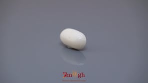 White Coral - 4.23 Carat
