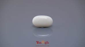 White Coral - 4.02 Carat