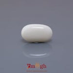White Coral - 4.02 Carat