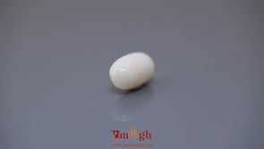White Coral - 4.85 Carat