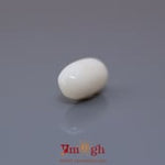 White Coral - 4.85 Carat